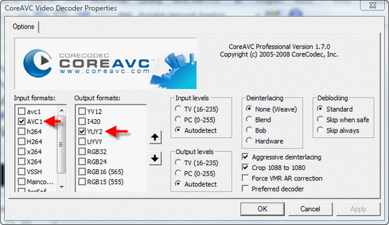 CoreAVC Professional Edition v2.0.0.0