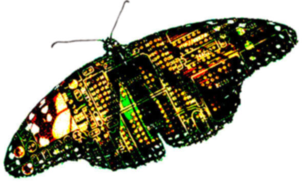 DARPA �������� ����� ������-���������