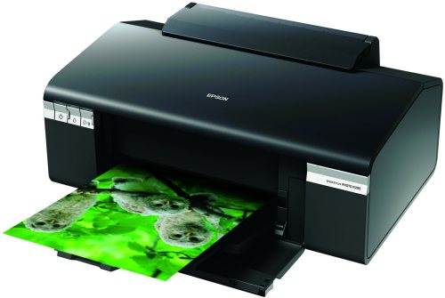 ����� ������� Epson Stylus Photo R295 ��� ����������